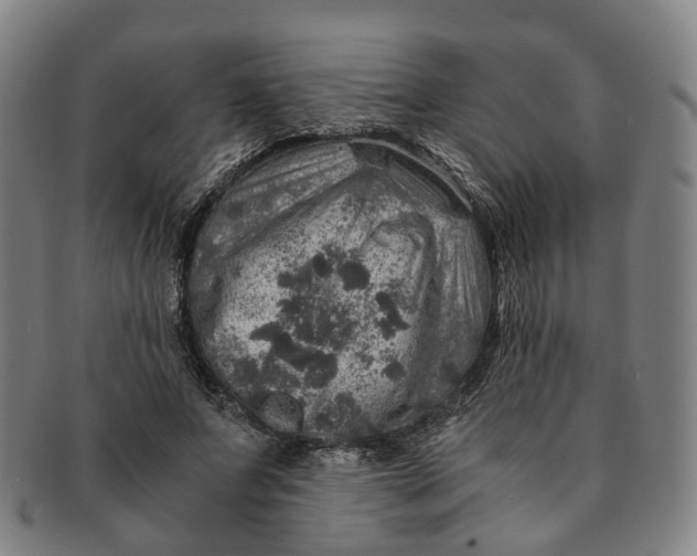 X0000091010687200708241512