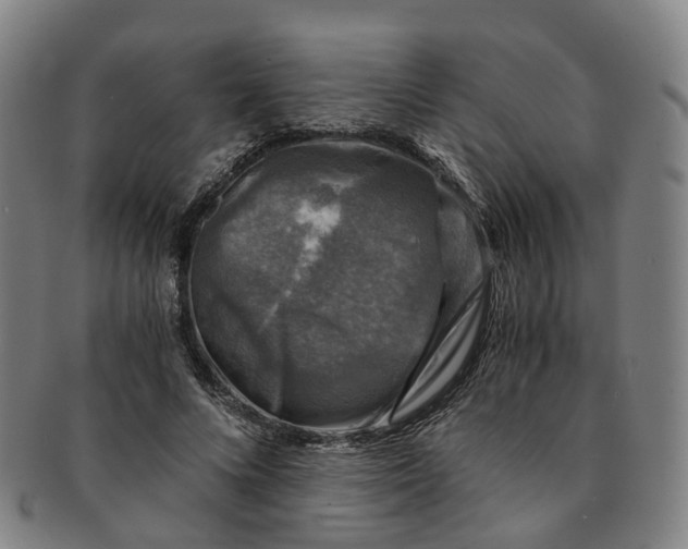 X0000091010688200708241512