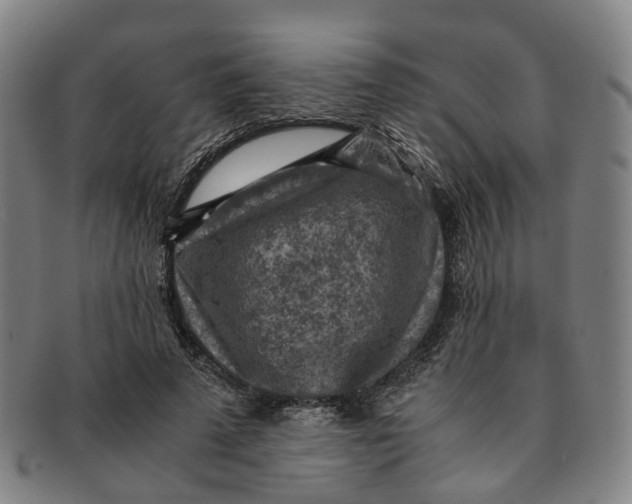 X0000091010689200708241512