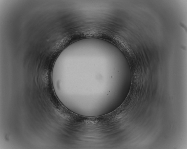 X0000091010690200708241512