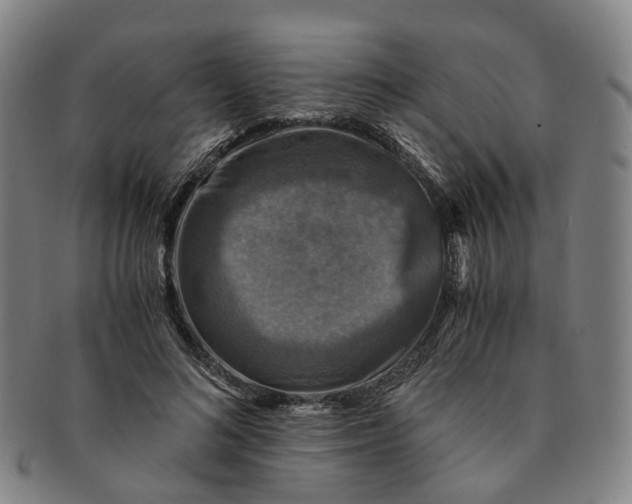 X0000091010692200708241512