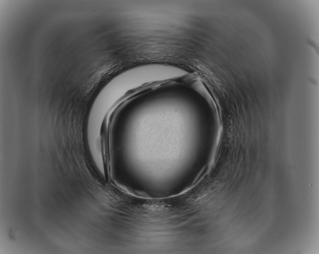 X0000091010693200708241512