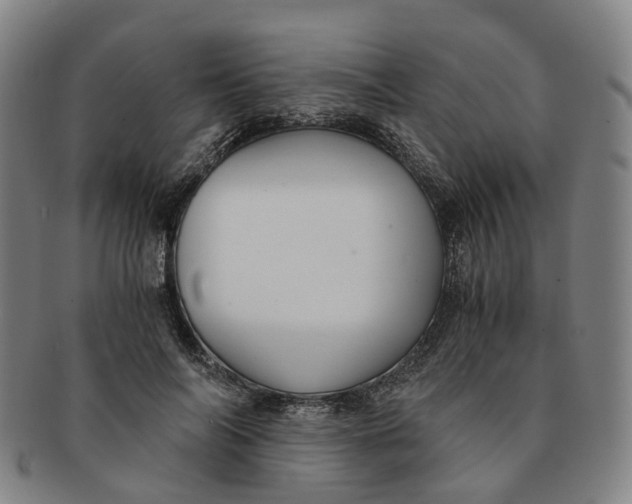 X0000091010694200708241512