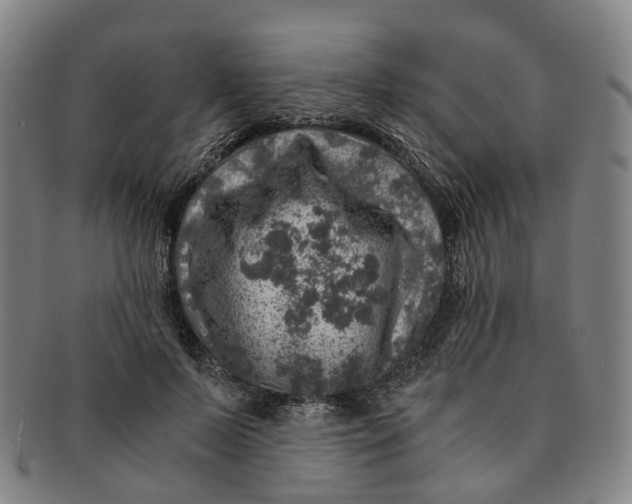 X0000091010695200708241512