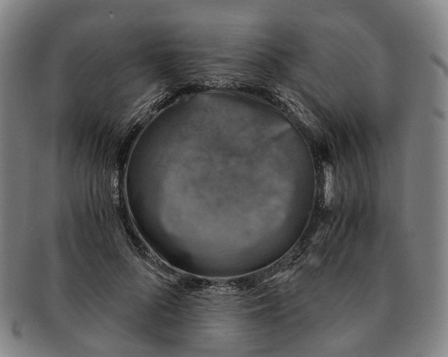 X0000091010696200708241512