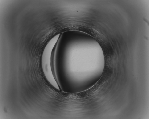 X0000091010697200708241512