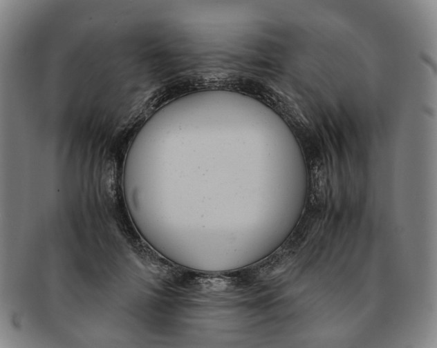 X0000091010698200708241512