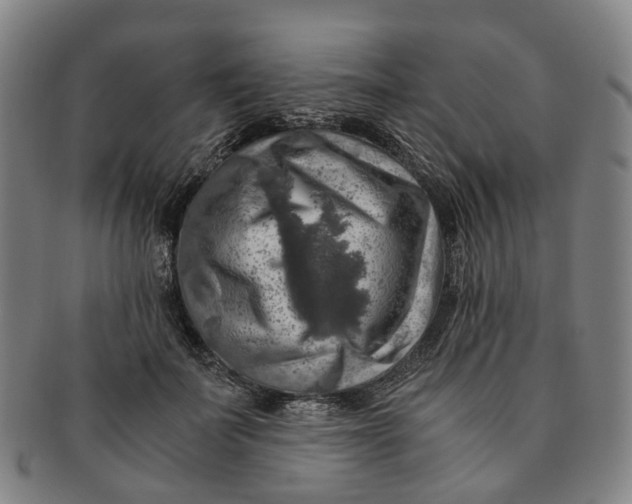 X0000091010699200708241512