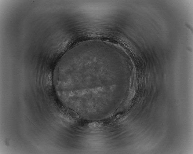 X0000091010700200708241512