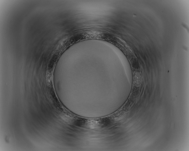 X0000091010701200708241512