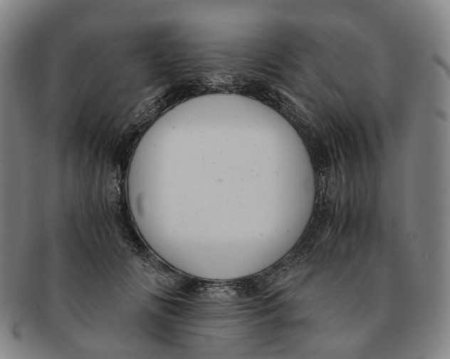 X0000091010702200708241512