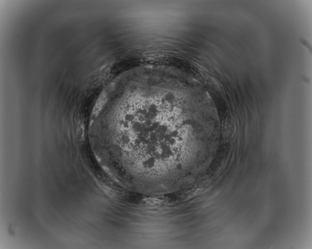 X0000091010703200708241512