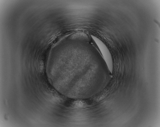 X0000091010704200708241512