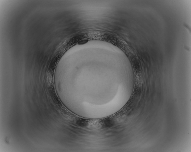 X0000091010705200708241512