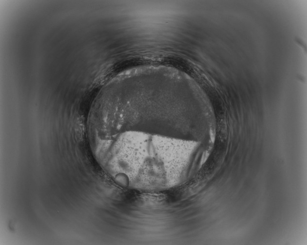 X0000091010707200708241512