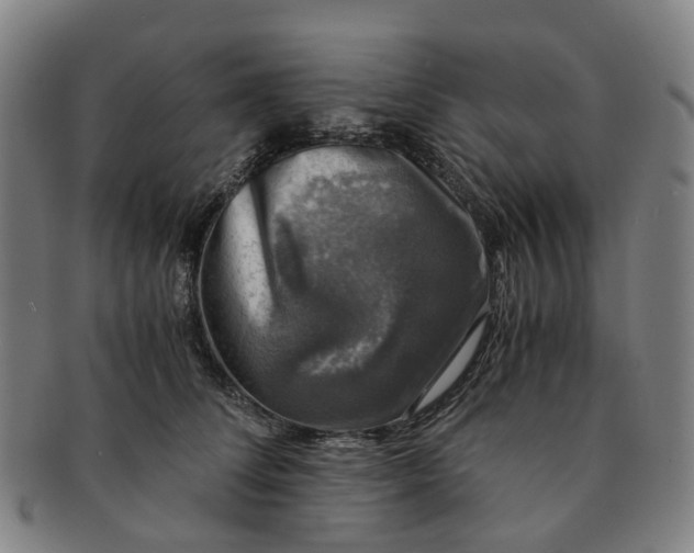 X0000091010708200708241512