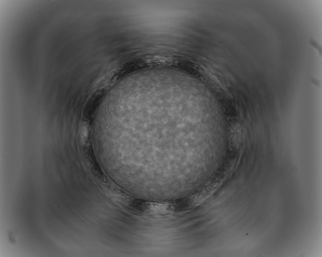 X0000091010709200708241512