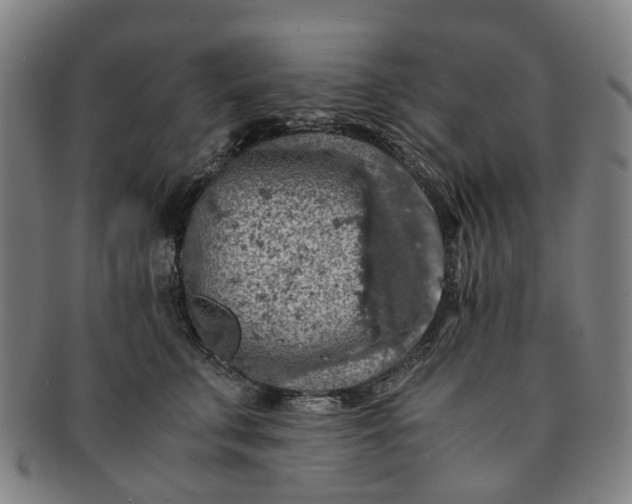 X0000091010711200708241512