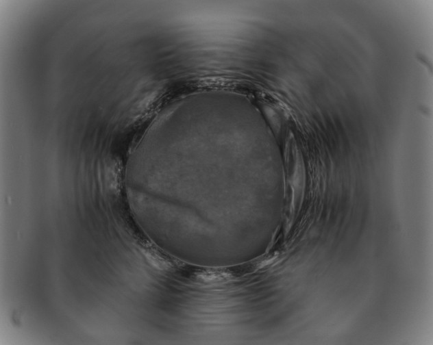 X0000091010712200708241512