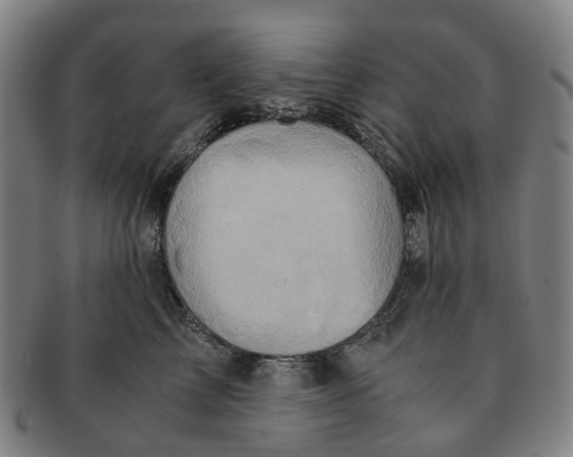 X0000091010713200708241512