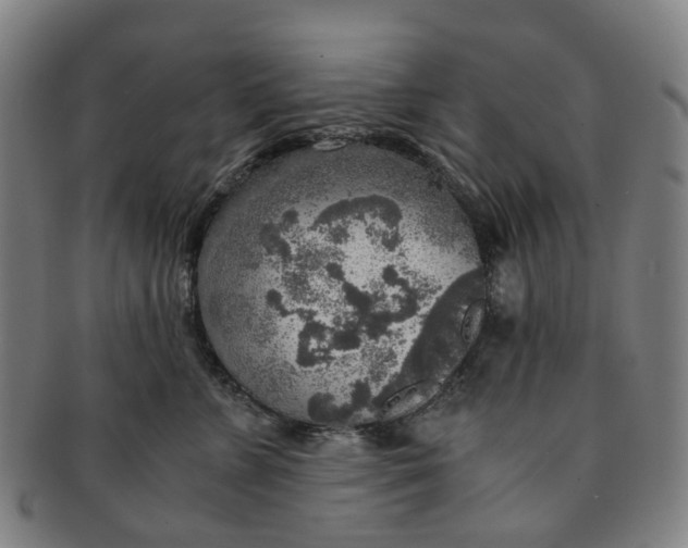 X0000091010715200708241512