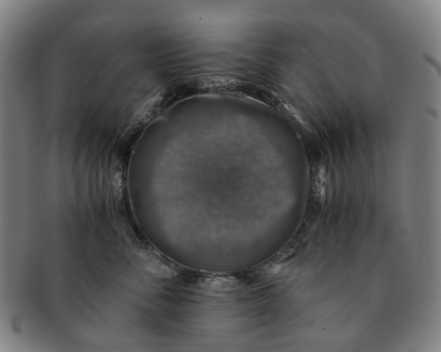 X0000091010716200708241512