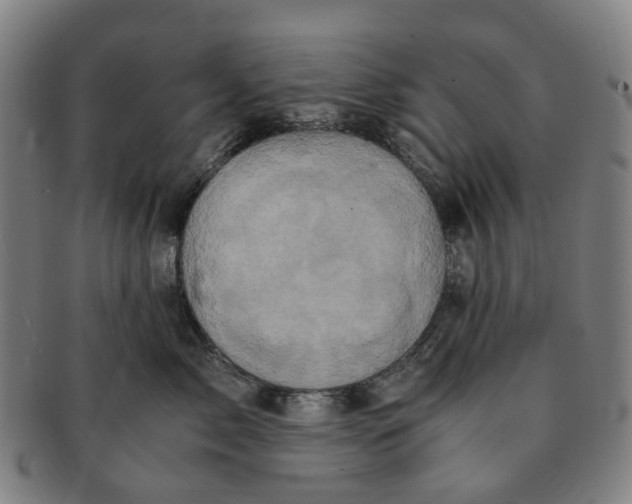 X0000091010717200708241512