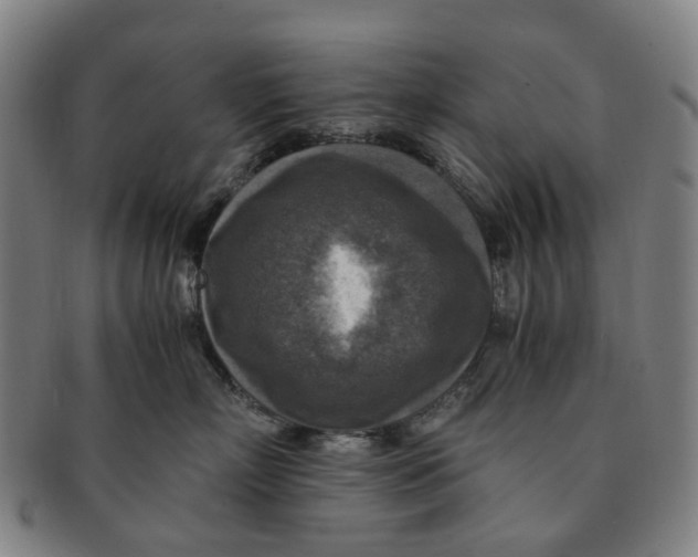 X0000091010718200708241512