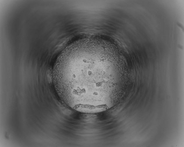 X0000091010719200708241512