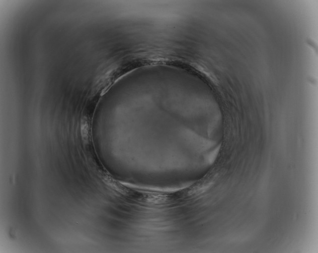 X0000091010720200708241512