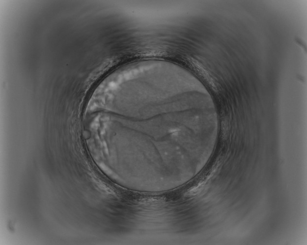 X0000091010721200708241511