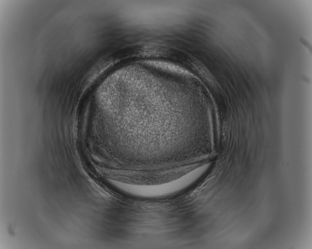 X0000091010722200708241511