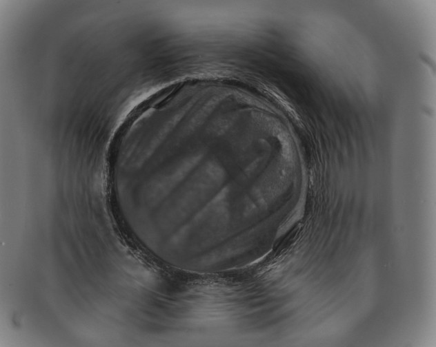 X0000091010724200708241511