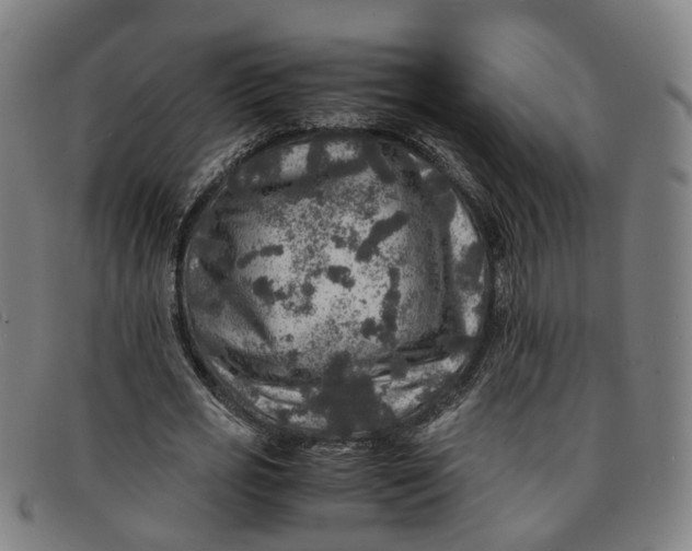 X0000091010725200708241511