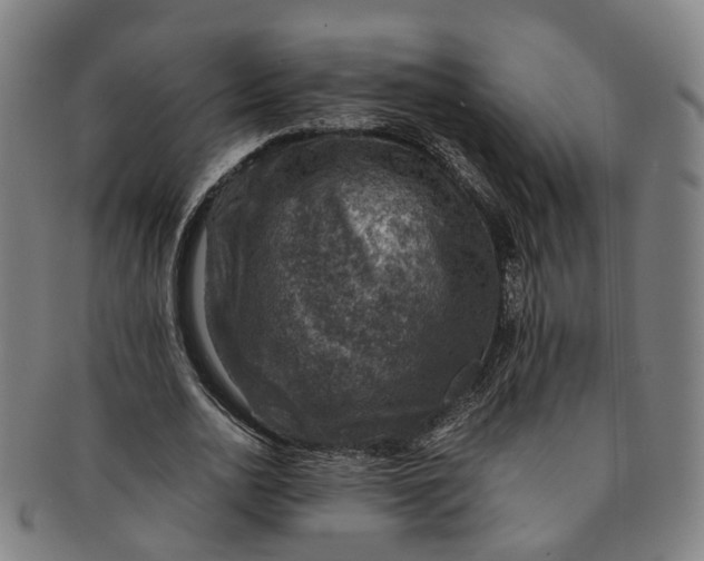 X0000091010726200708241511