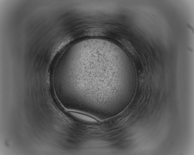 X0000091010727200708241511