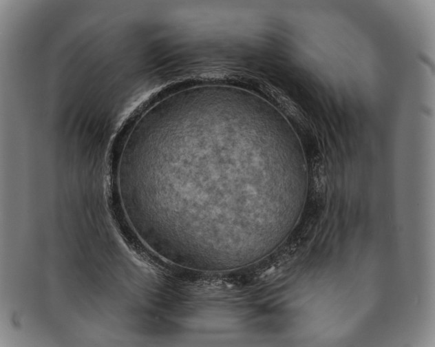 X0000091010728200708241511