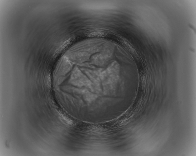 X0000091010729200708241511