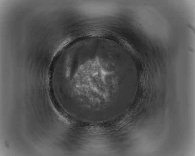 X0000091010730200708241511