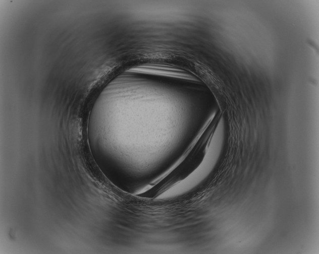 X0000091010731200708241511