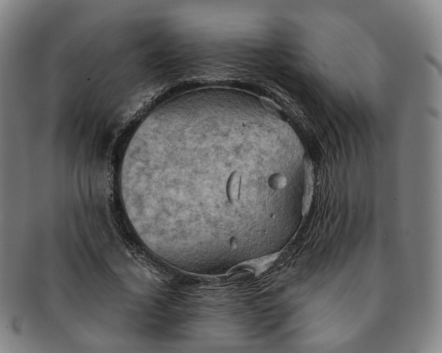 X0000091010732200708241511