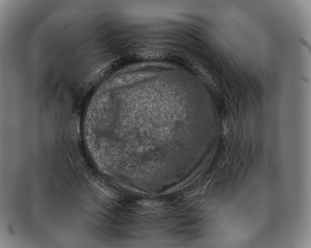 X0000091010733200708241511