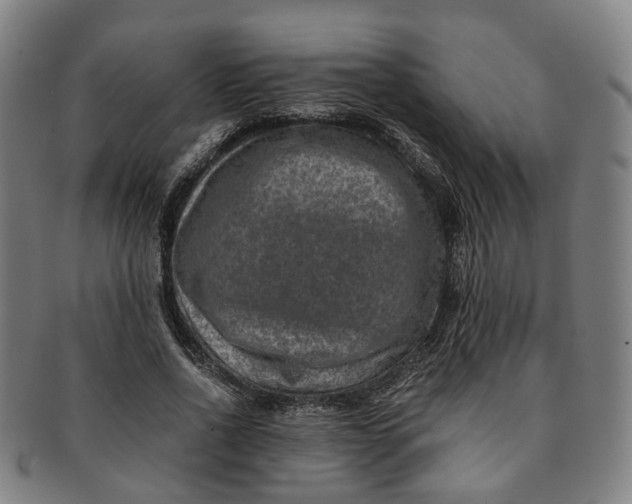 X0000091010734200708241511