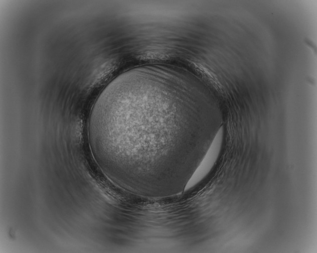 X0000091010735200708241511