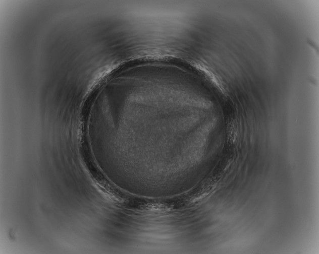 X0000091010736200708241511