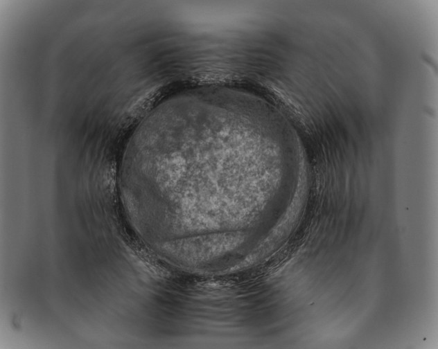 X0000091010737200708241511