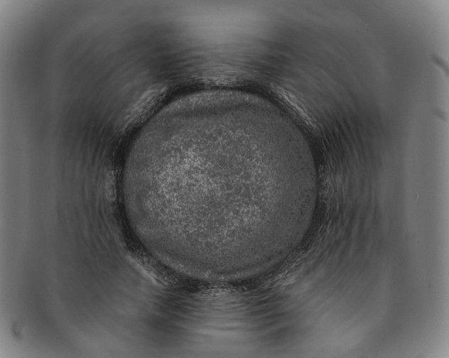 X0000091010738200708241511