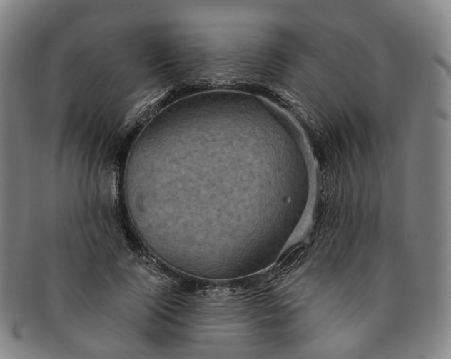 X0000091010740200708241511