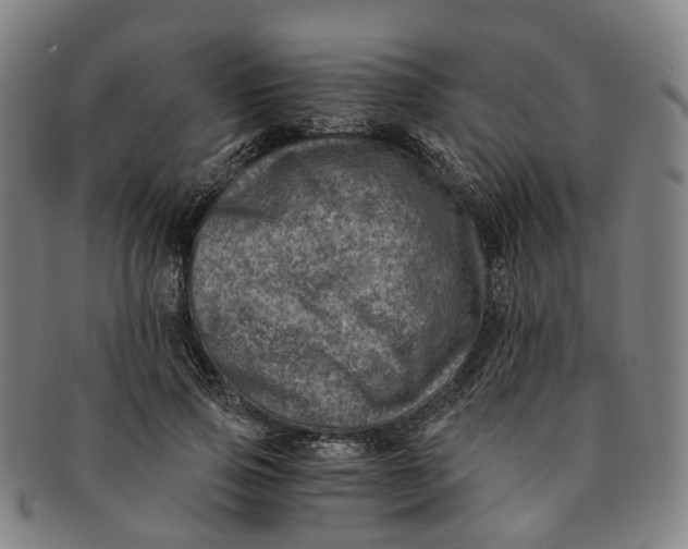 X0000091010741200708241511