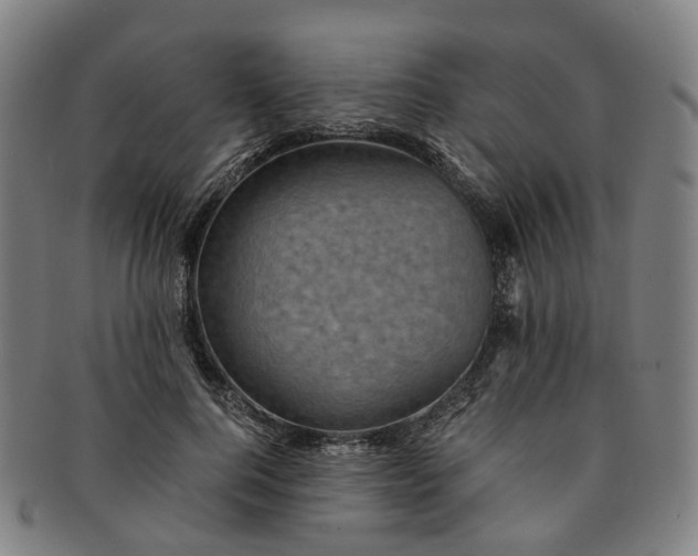 X0000091010744200708241512